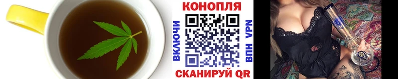 Canna-Cookies марихуана  Киселёвск 