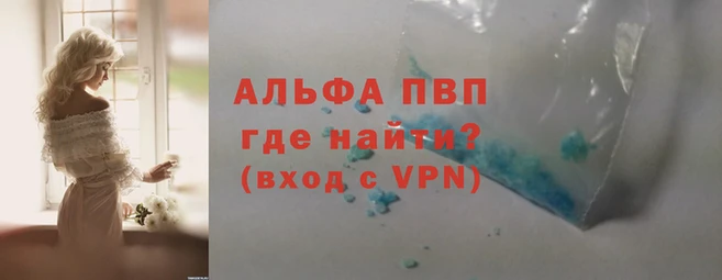 дмт Богданович