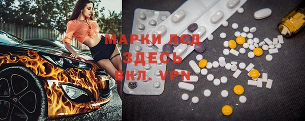 дмт Богданович