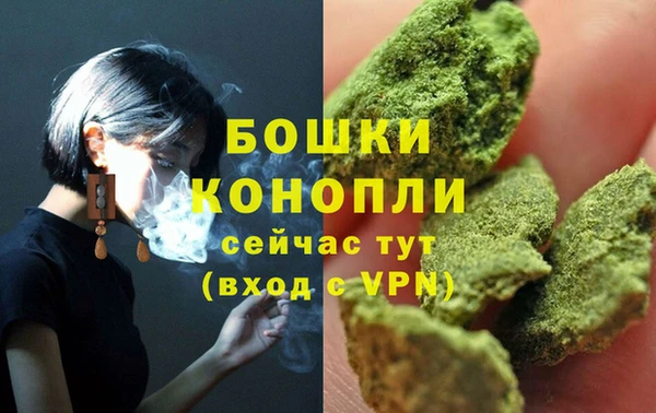 дмт Богданович