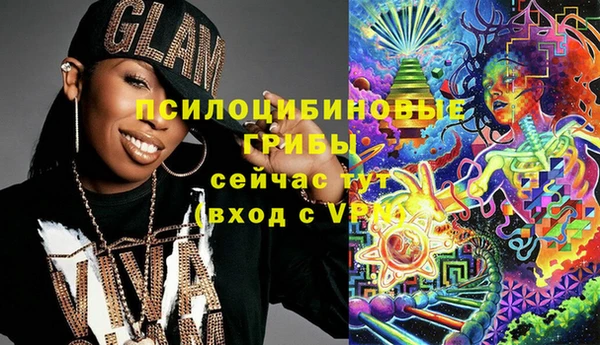 дмт Богданович