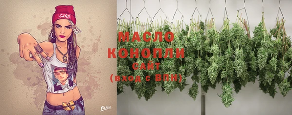 дмт Богданович